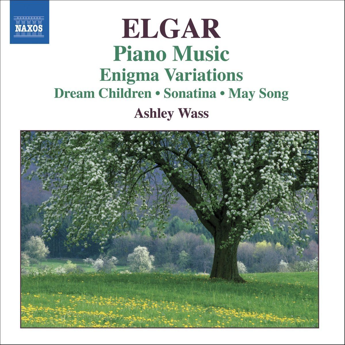 【CD】Piano Music