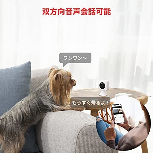 SwitchBot 見守りセット(Hubなし)屋内カメラ+人感センサー+開閉センサー アレクサに対応 スマートホーム 双方向音声会話 遠隔操作 アラーム通知 取付簡単 防犯対策 小型 セキュリティセットY 715680ea