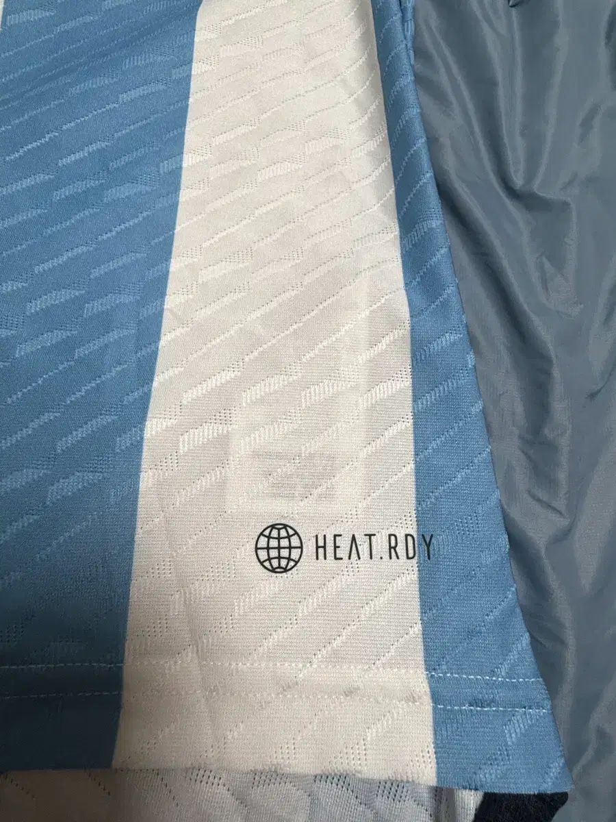 アルゼンチン メッシ アセンティック Tシャツ L アルゼンチン メッシ アセンティック Tシャツ L