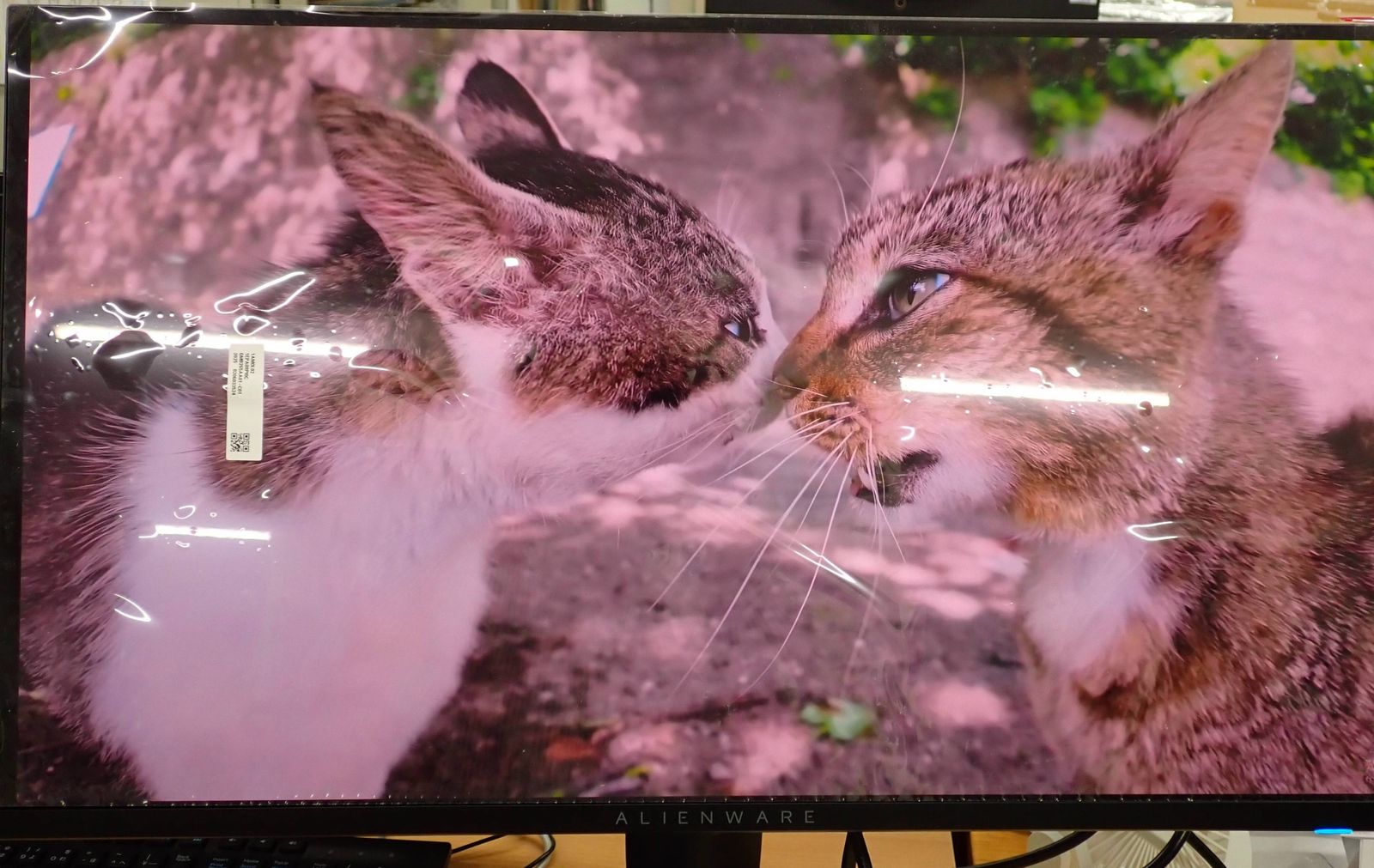 Dell Alienware 27 4K AW2725Q QD-OLED 240Hz ゲーミングモニター R2605-108 Dell Alienware 27 4K AW2725Q QD-OLED 240Hz ゲーミングモニター R2605-108