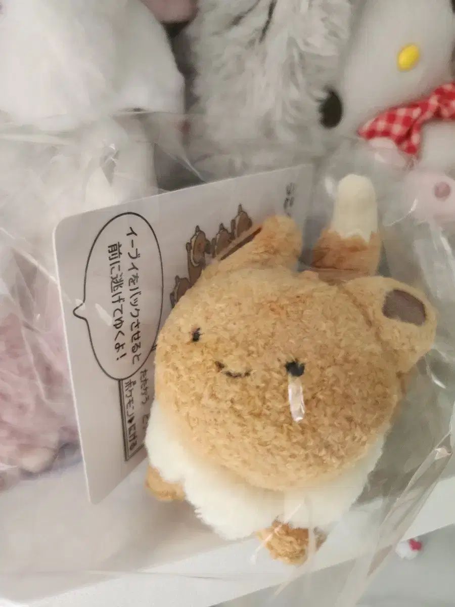 新品) ポケットモンスター イーブイ プルバックカー ぬいぐるみ ぬい ポケモンセンター カード フィギュア
