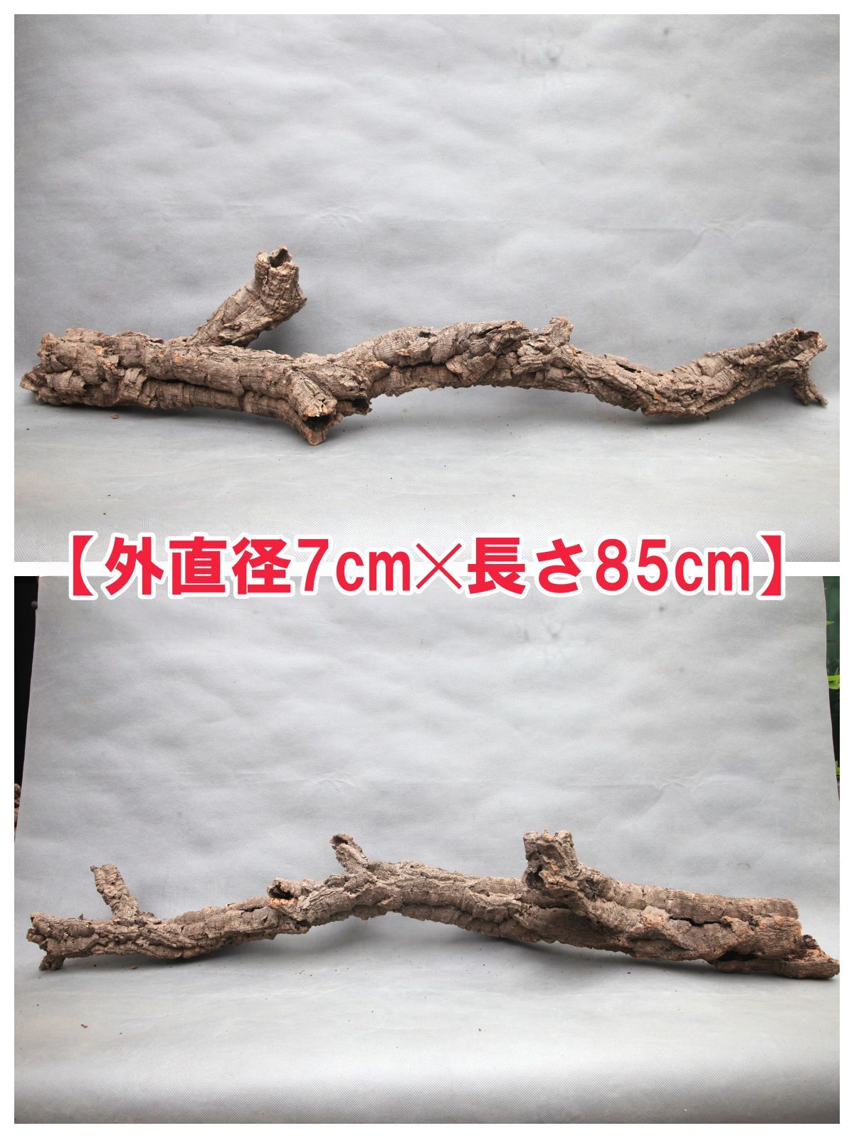 W735 ポルトガル産 キャノンコルク コルク樹皮 コルク板　バージンコルク 高品質　チランジア　ビカクシダ　着生ラン　両生類　爬虫類　コウモリラン　板付　エアープランツ 鳥用おもちゃ 植物用　水槽用　壁飾り　天然素材　DIY　大人気