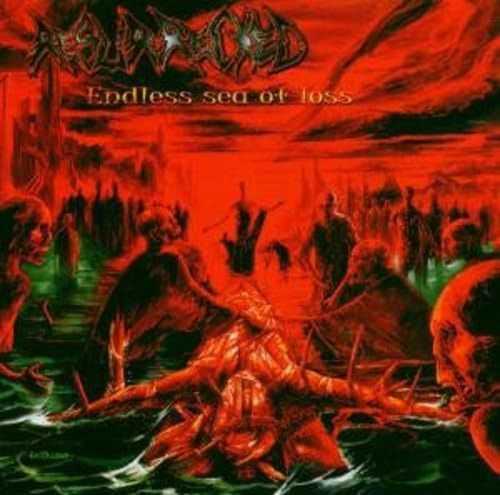 【CD】Endless Sea of Loss