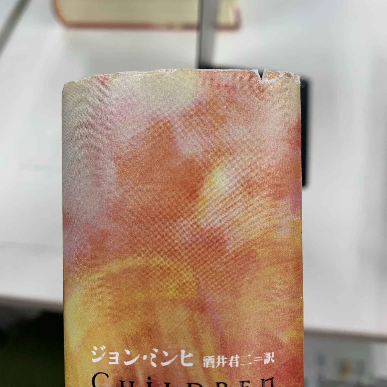 小説】ルーンの子供たち 全巻セット - メルカリ