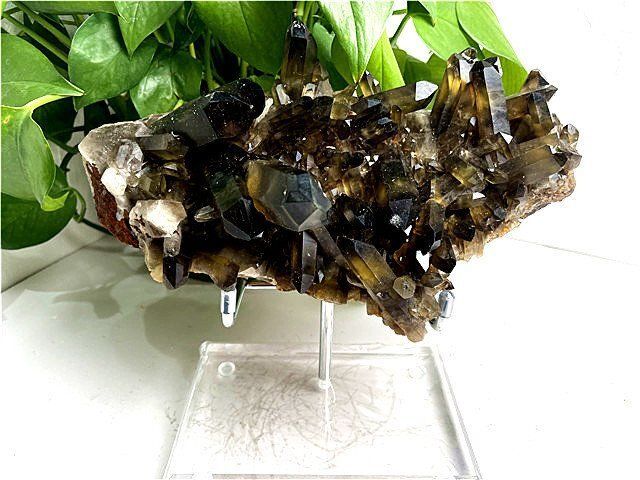 AAA級魔除け天然モリオン黒水晶クラスターYT11C6/336C21A 1680g AAA級【魔除け】天然モリオン(黒水晶）クラスターYT11C6/336C21A