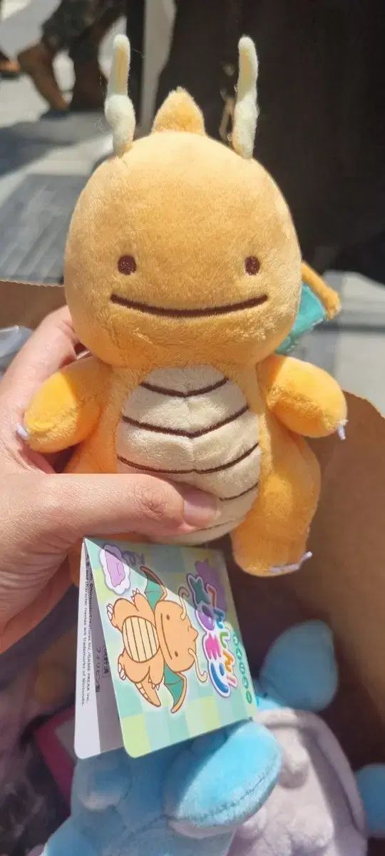 ポケットモンスター メタモン ミニリュウ ぬいぐるみ