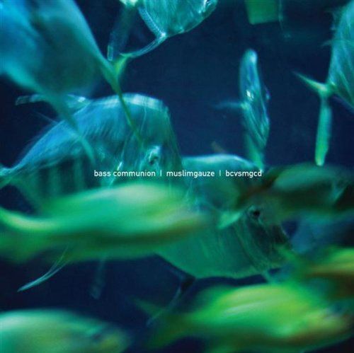 【CD】Bcvsmgcd