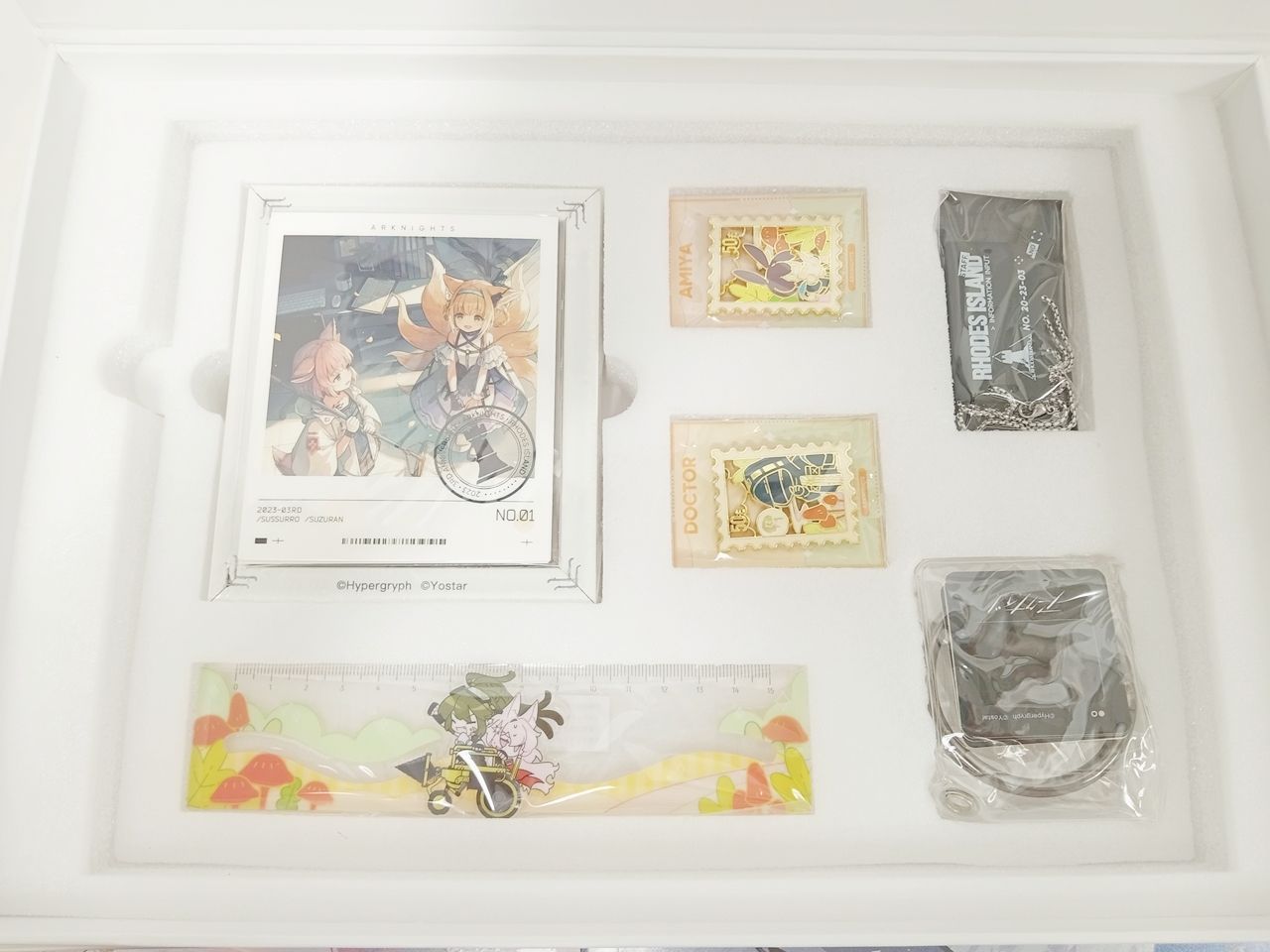 アークナイツ 3周年記念 TERRA COGNITA KIT テラ・コグニタキット 中古
