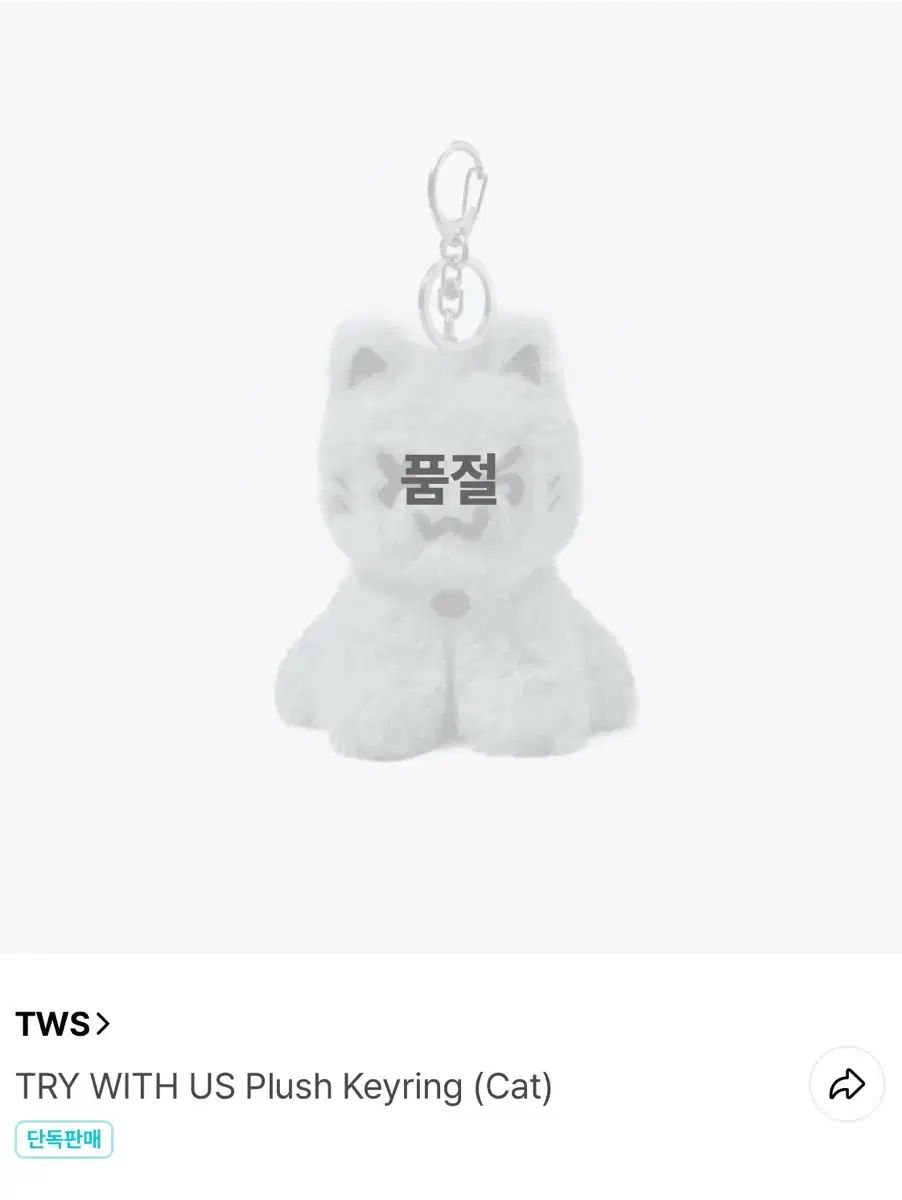 TWS 투어스 먼지 투냥이 キーホルダー