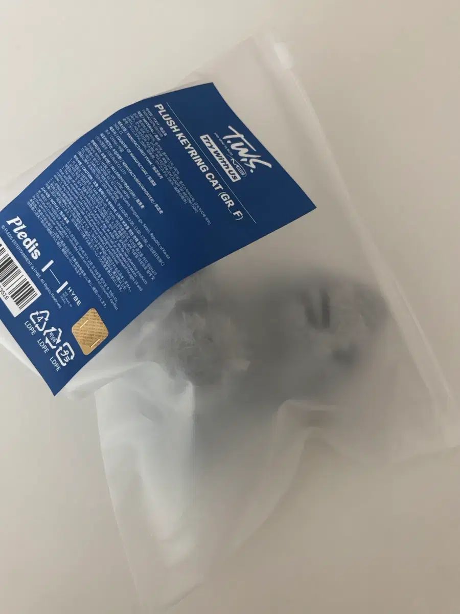 TWS 투어스 먼지 투냥이 キーホルダー