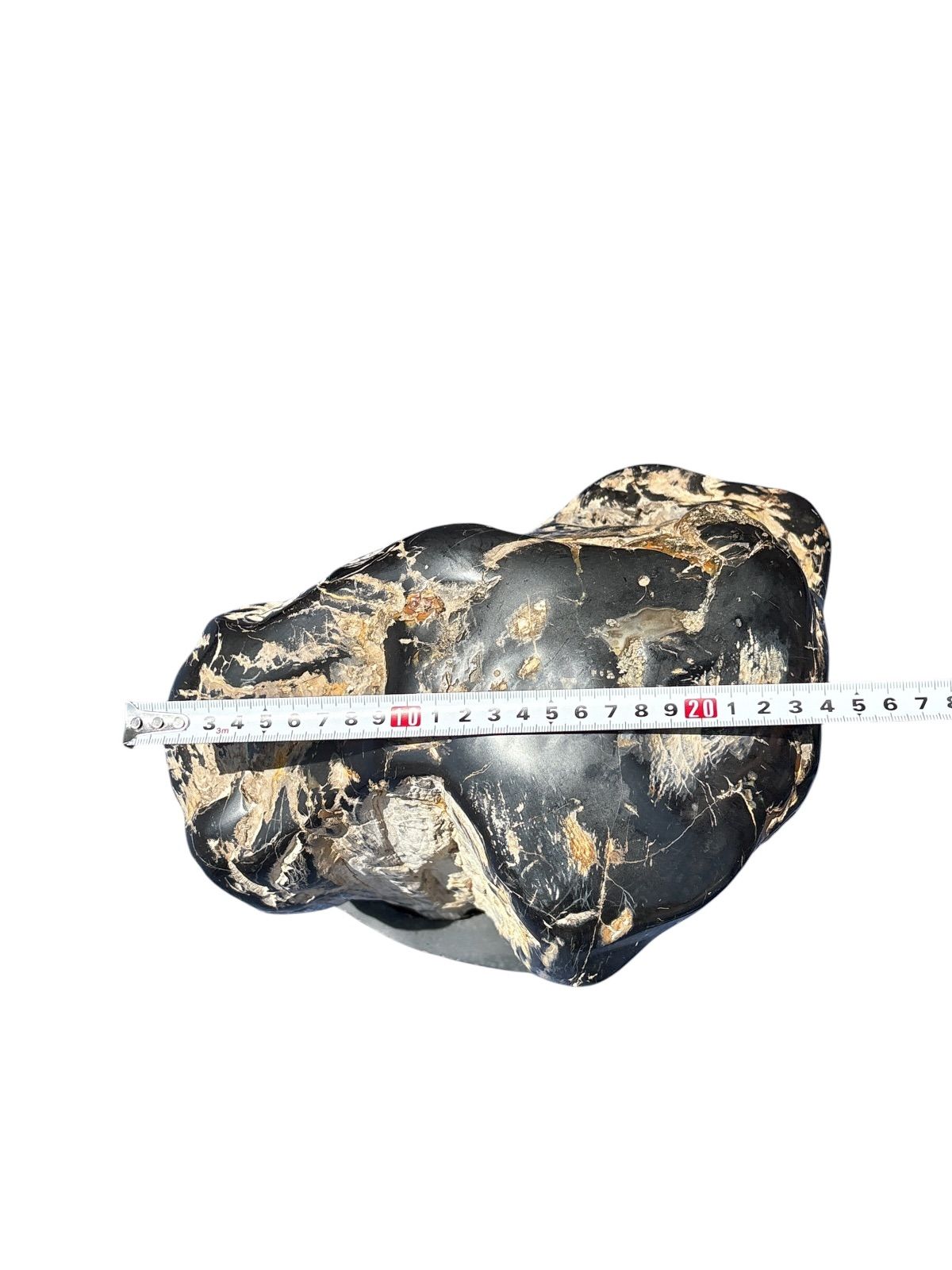 超希少・天然石】木化石 珪化木 鑑賞石 置石 原石 約20kg 台座付