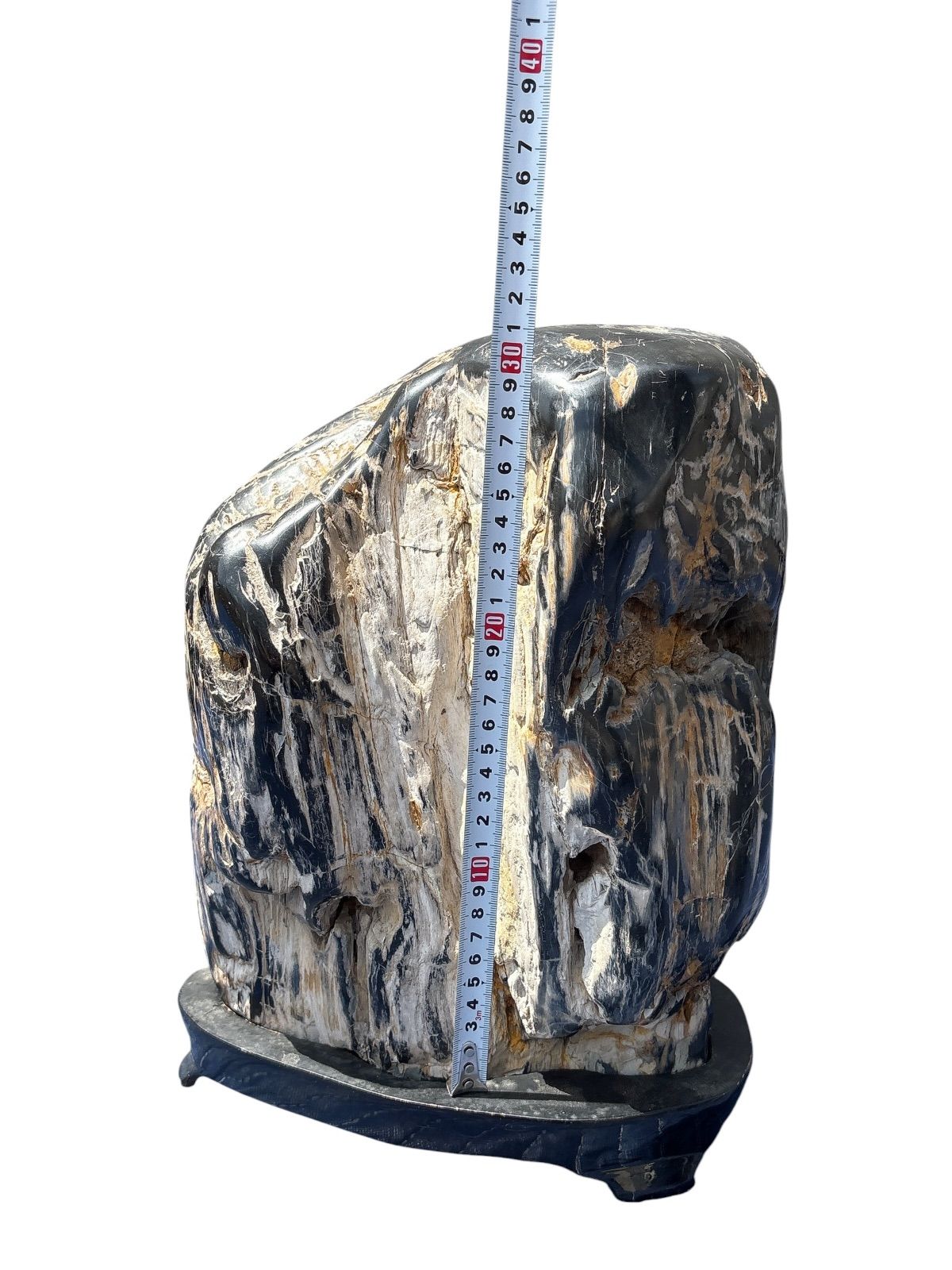 超希少・天然石】木化石 珪化木 鑑賞石 置石 原石 約20kg 台座付