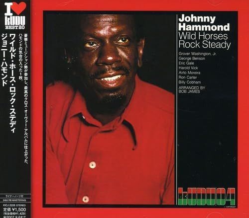 【CD】Wild Horses Rock Steady