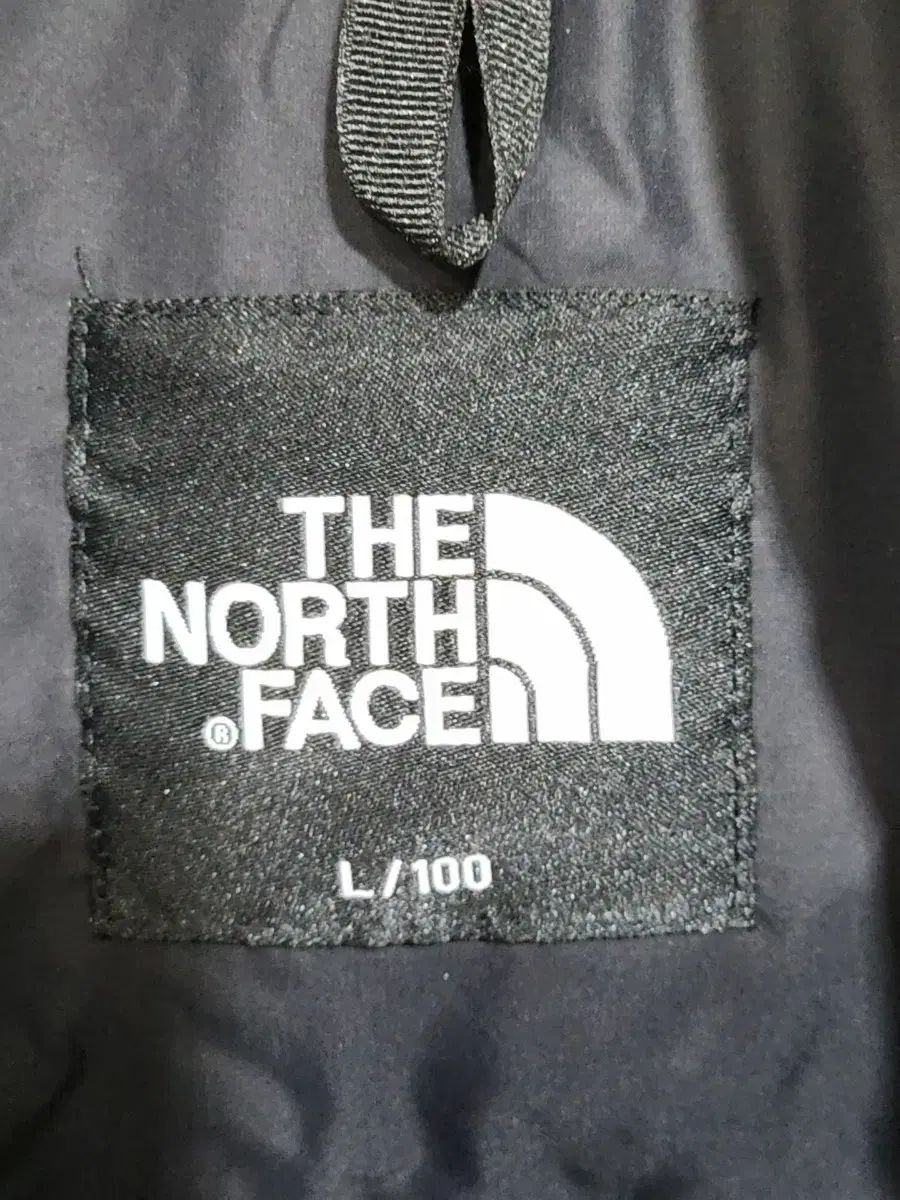 (L) THE NORTH FACE ザノースフェイス ヌプシダウンジャケット アウター チャコール ファー グースダウン ジャケット