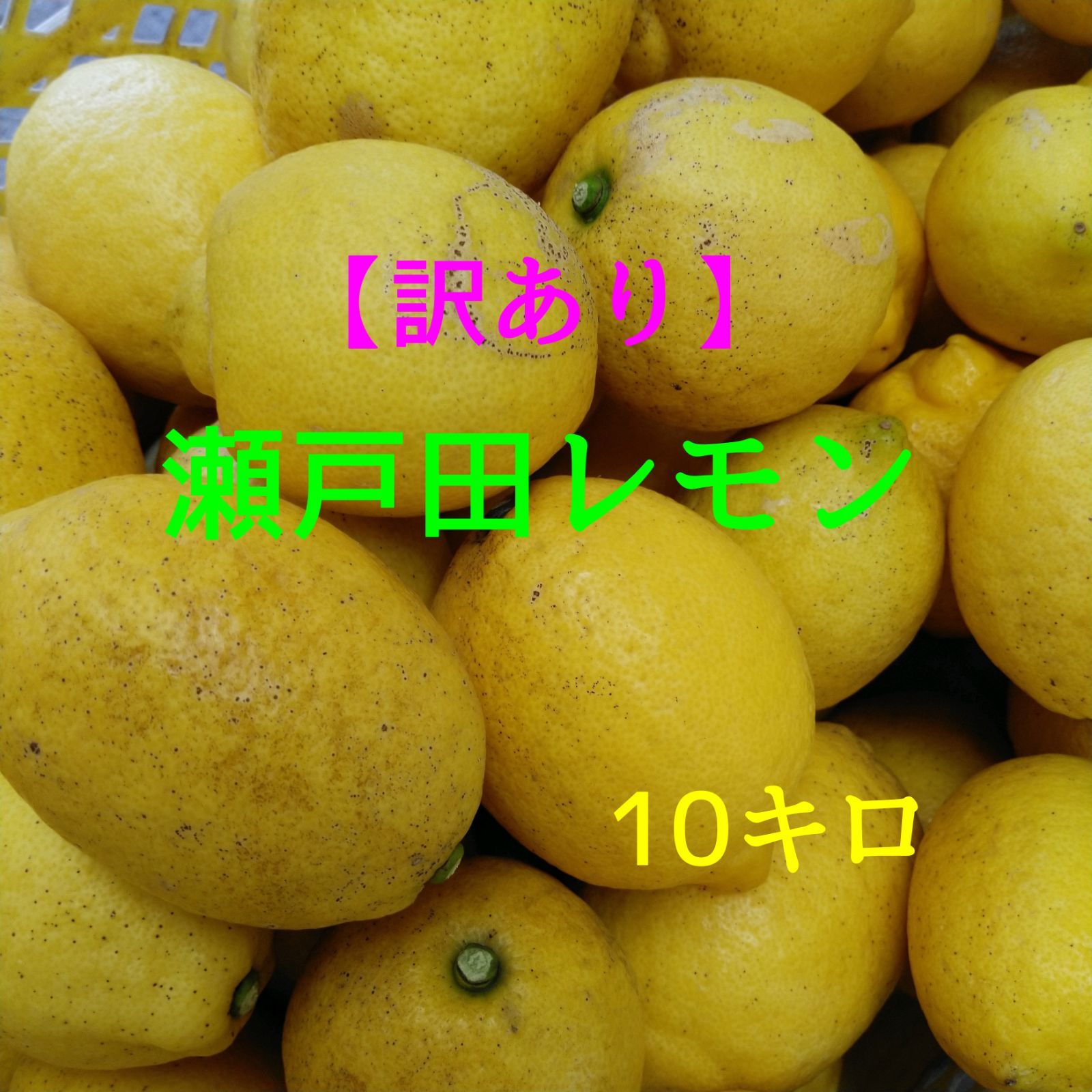 【訳あり】☆瀬戸田レモン☆　10キロ(箱込み)　広島県産　産地直送