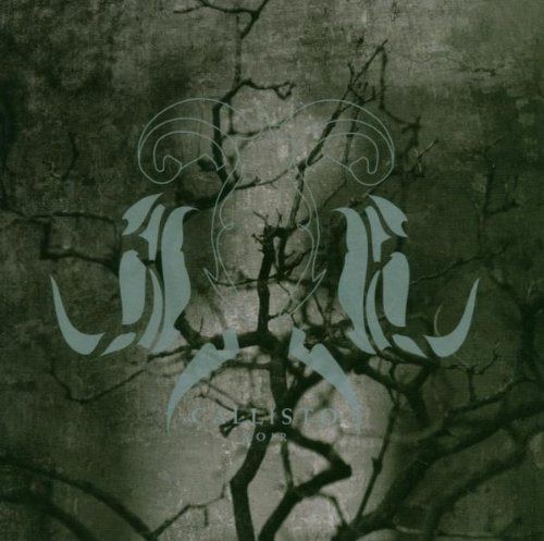 【CD】Noir 28,993円