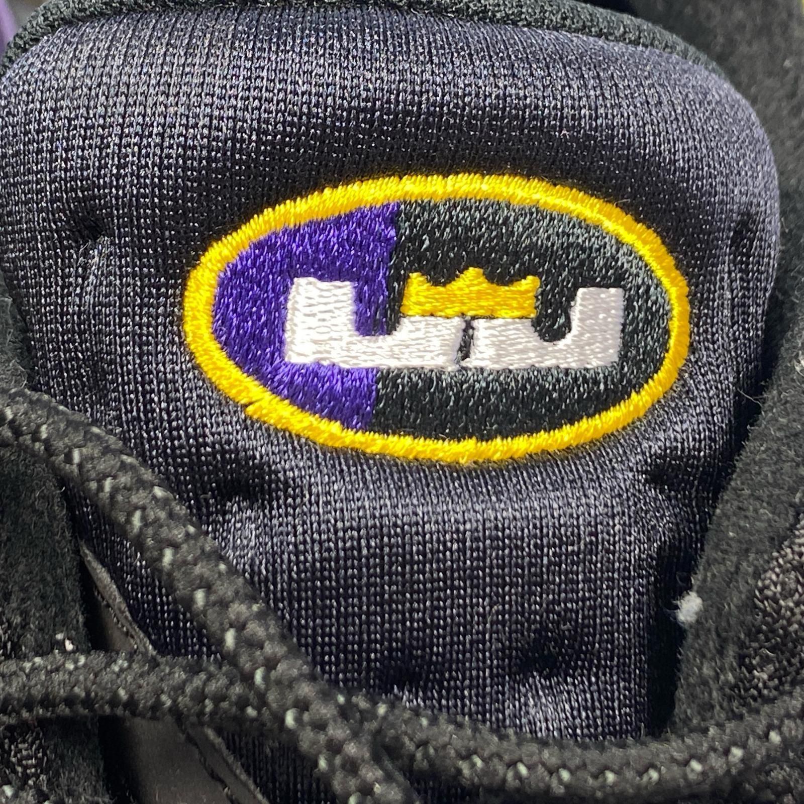 【姫路東店】 中古 NIKE | ナイキ スニーカー AIR MAX 95 QS 'LEBRON JAMES' CZ3624-001 2021S/S 27.0cm マルチカラー 【126】