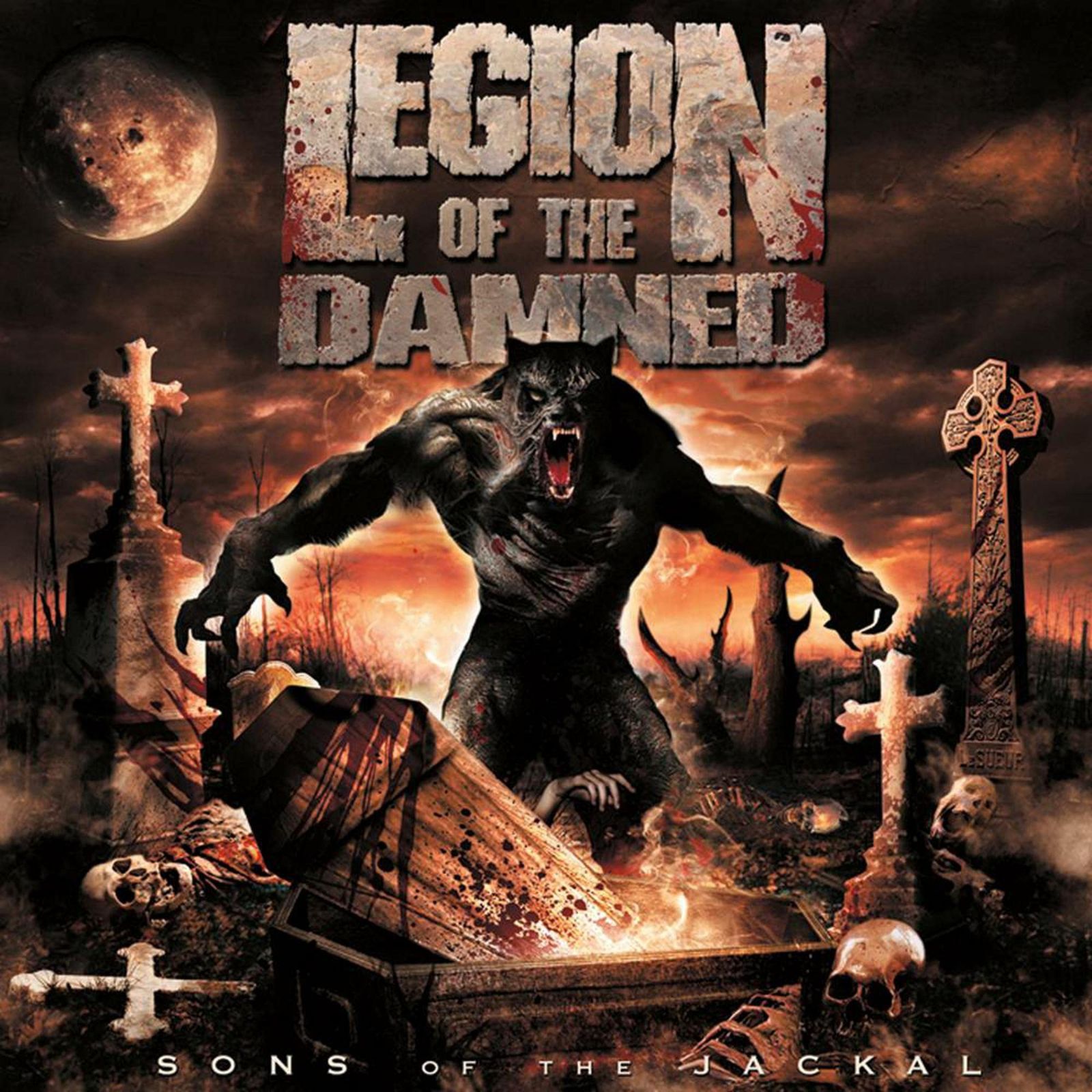 【CD】Sons of the Jackal (W/Dvd)