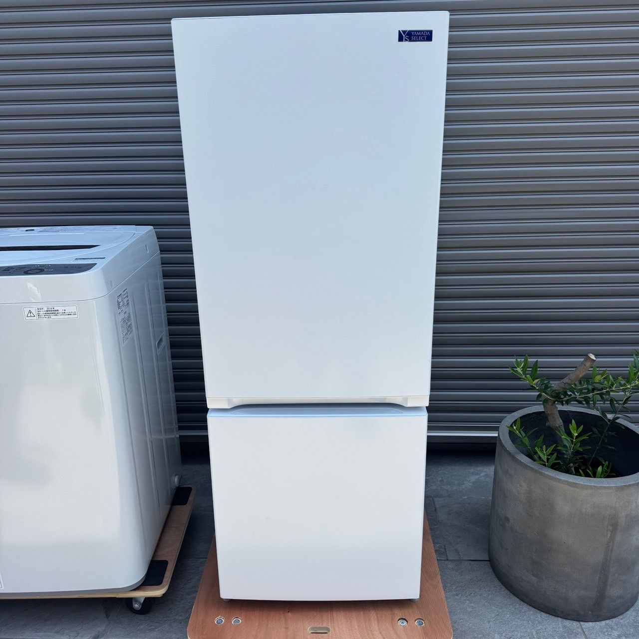 家電2点セット 洗濯機 SHARP 5.5kg 冷蔵庫 YAMADA 156L - メルカリ