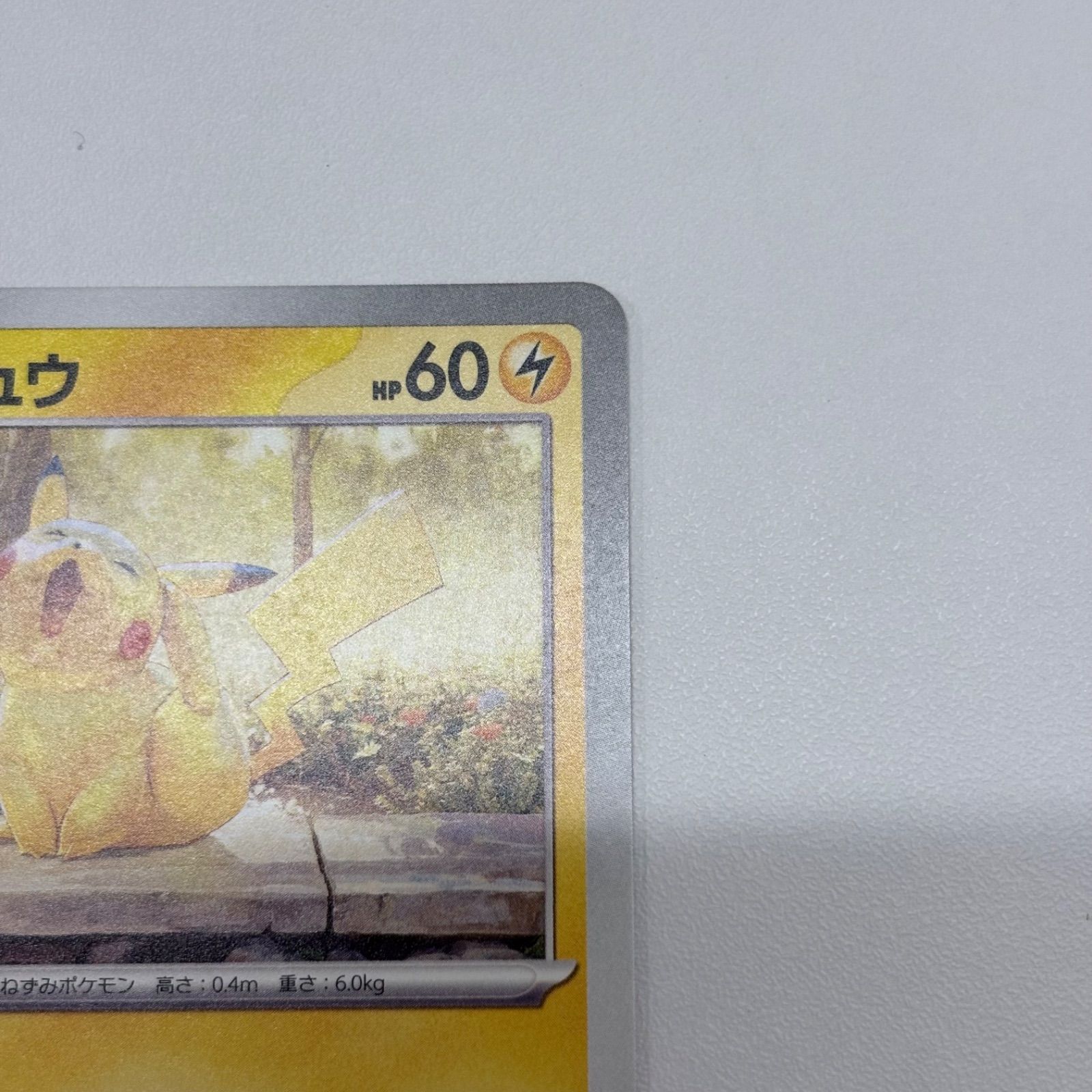 b) ポケモンカード ピカチュウ 242/SV-P イラストレーションプロモ