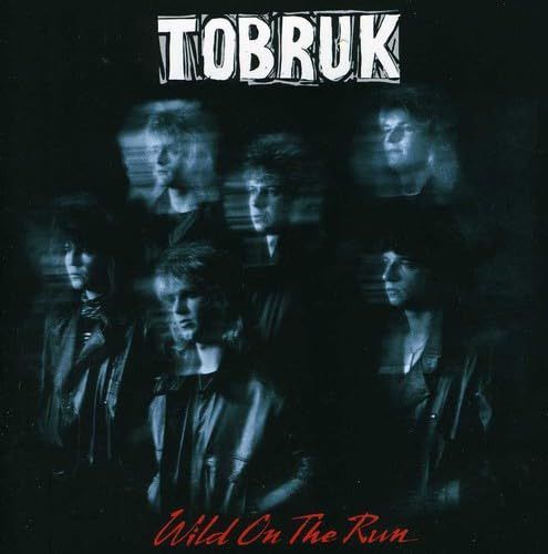 【CD】Wild on the Run