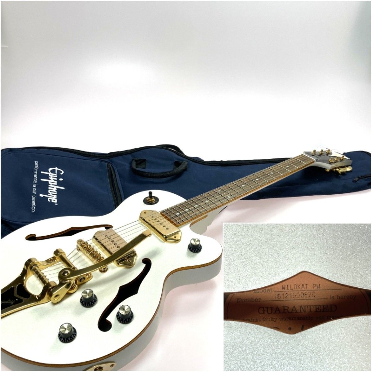 EPIPHONE エピフォン wildkat ソフトケース付き - メルカリ