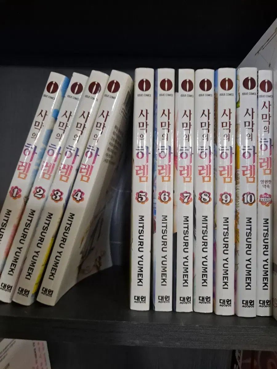 砂漠の ハレム 1 10 外編含む 全 11 巻 中古漫画 安全プロ店舗