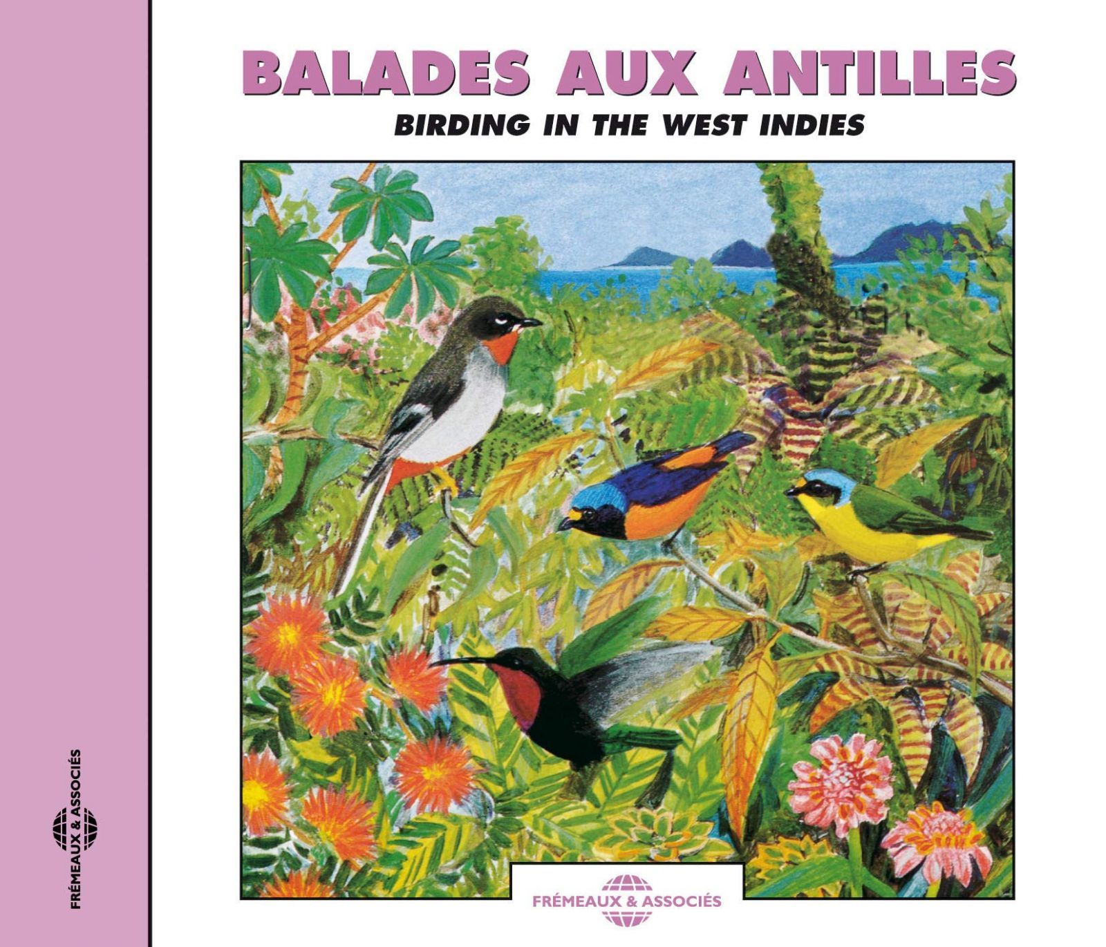 【CD】Birding in the West-Indies