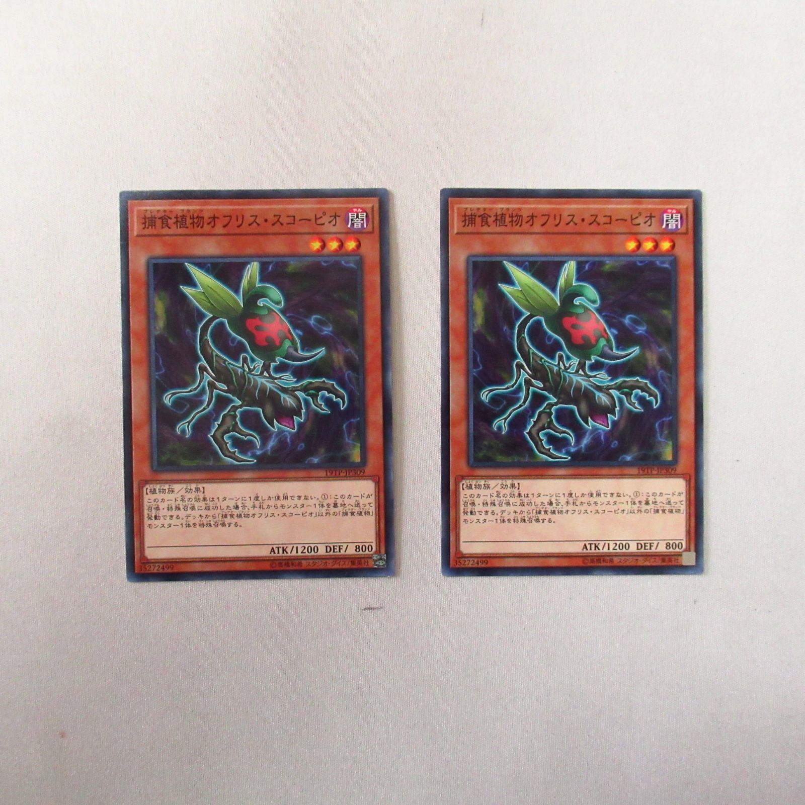 遊戯王 捕食植物オフリススコーピオ 19TP 2枚 - メルカリ
