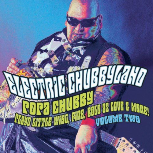 【CD】Electric Chubbyland: Vol2