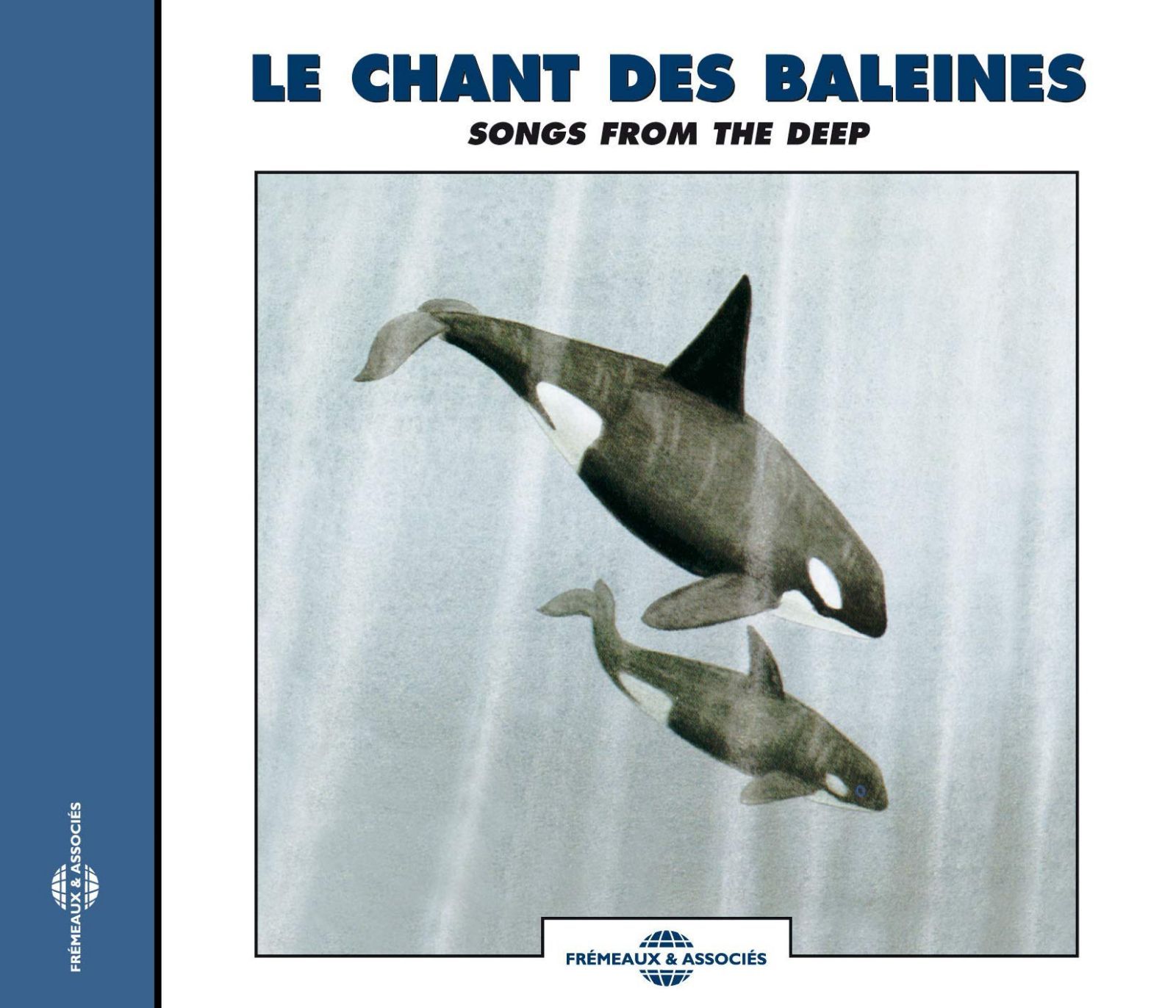 【CD】Recordings Of Whale Sounds: Songs From The Deep