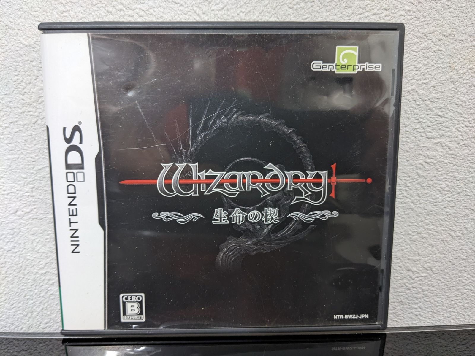 DS/Wizardry 生命の楔