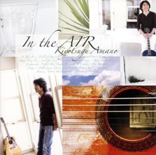 【CD】イン・ジ・エアー