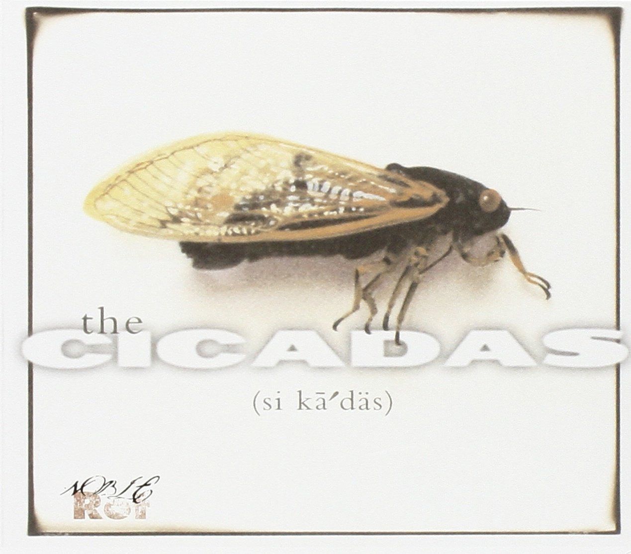 【CD】Cicadas