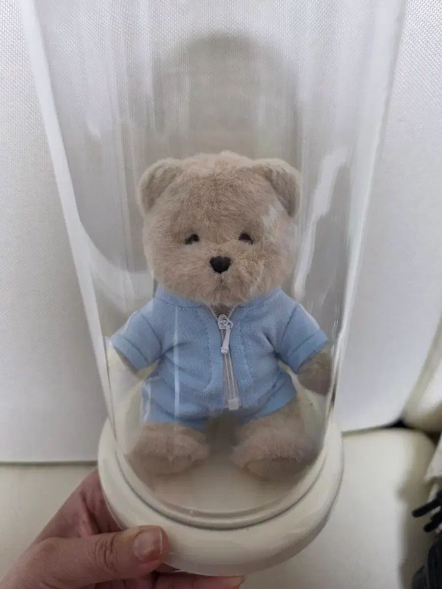 テディ テールズ ぬいぐるみ