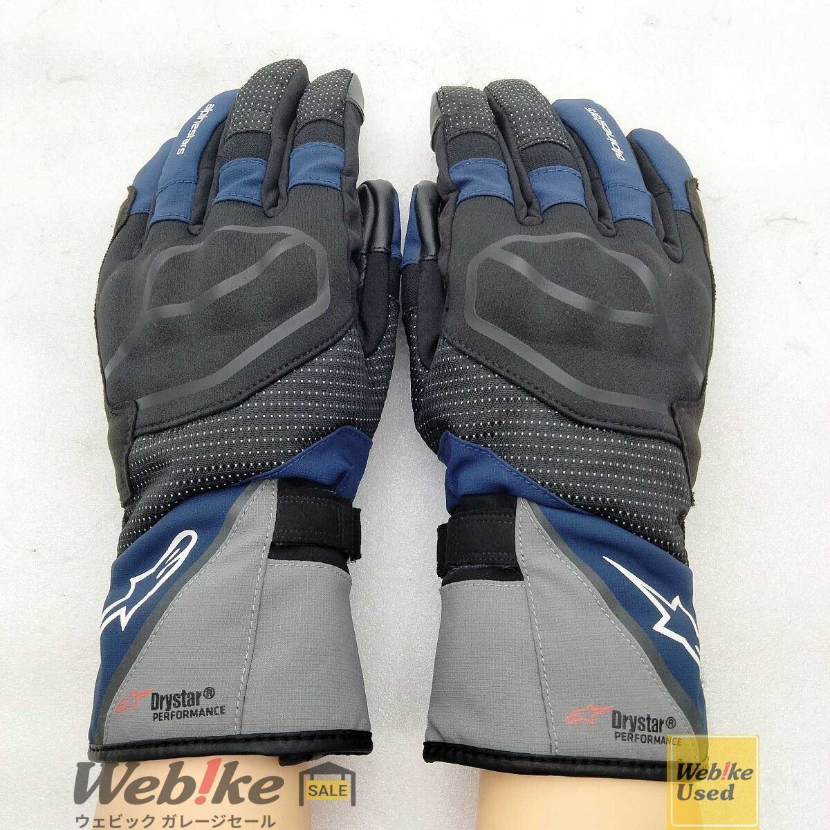 alpinestars ANDES v3 DRYSTAR GLOVE | サイズ：S RXBI31478