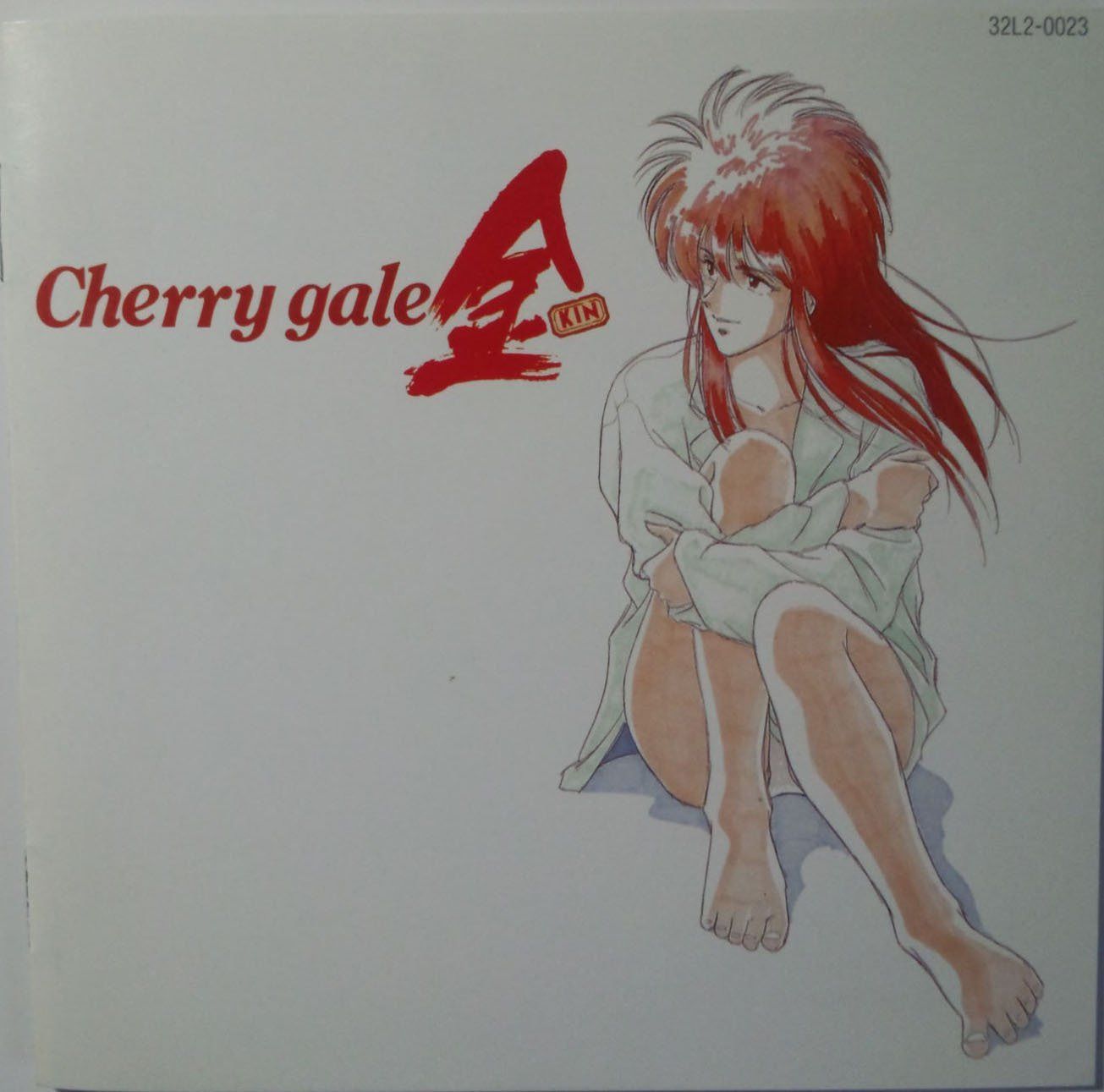 【CD】ちぇりーげーる金・疾風怒涛音楽編