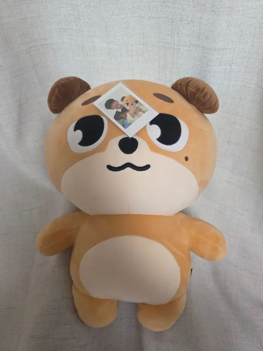 ジャイアント デマル ドン