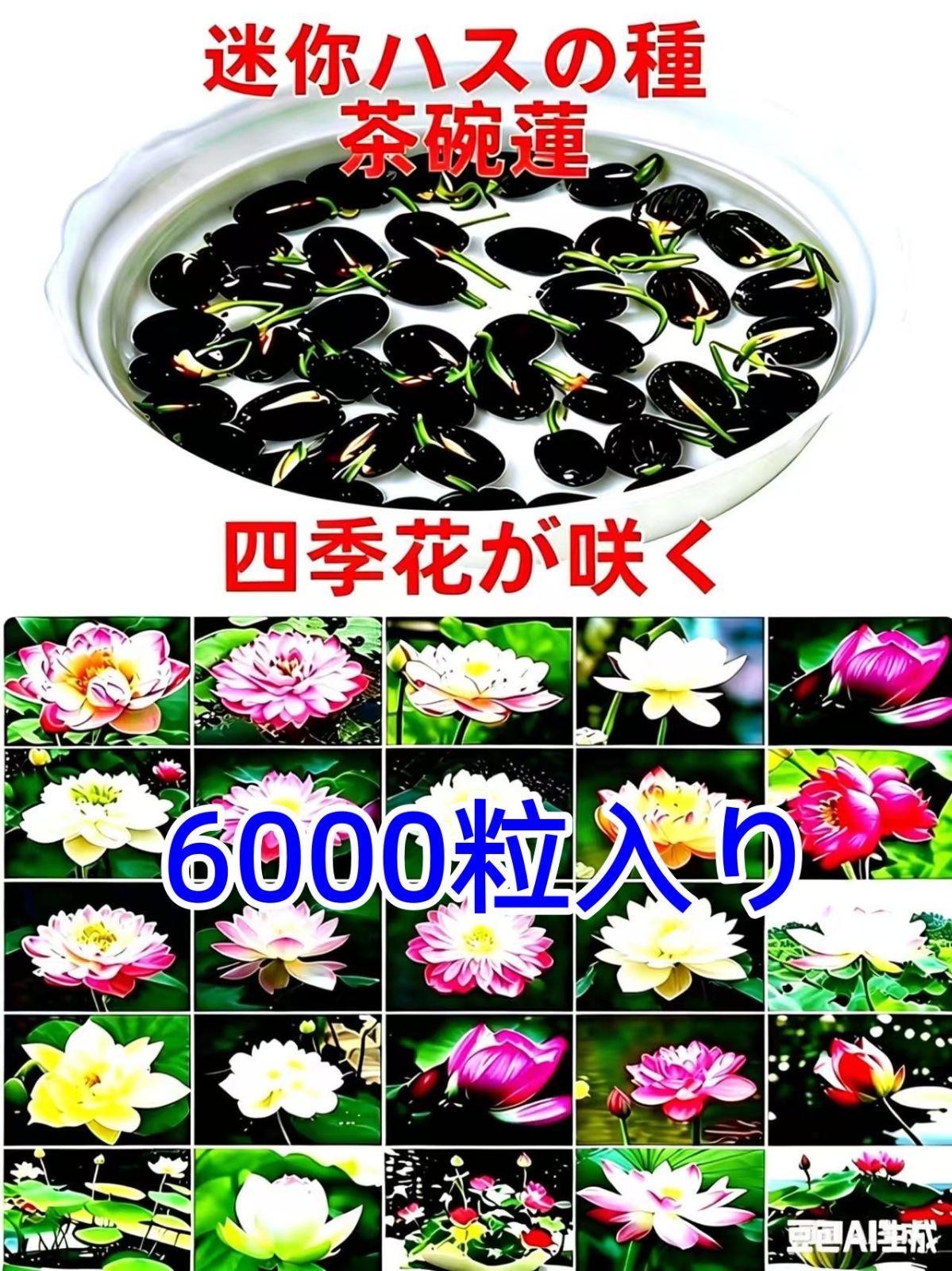ミニハスの種 茶碗蓮 ハスの種 蓮の種 屋内外植付け可能 お得な値段