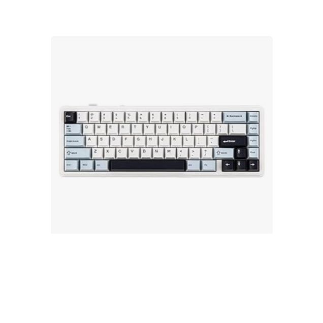 EPOMAKER x AULA F65 65%ワイヤレスメカニカルキーボード ホットスワップ対応ガスケットカスタムゲーミングキーボード