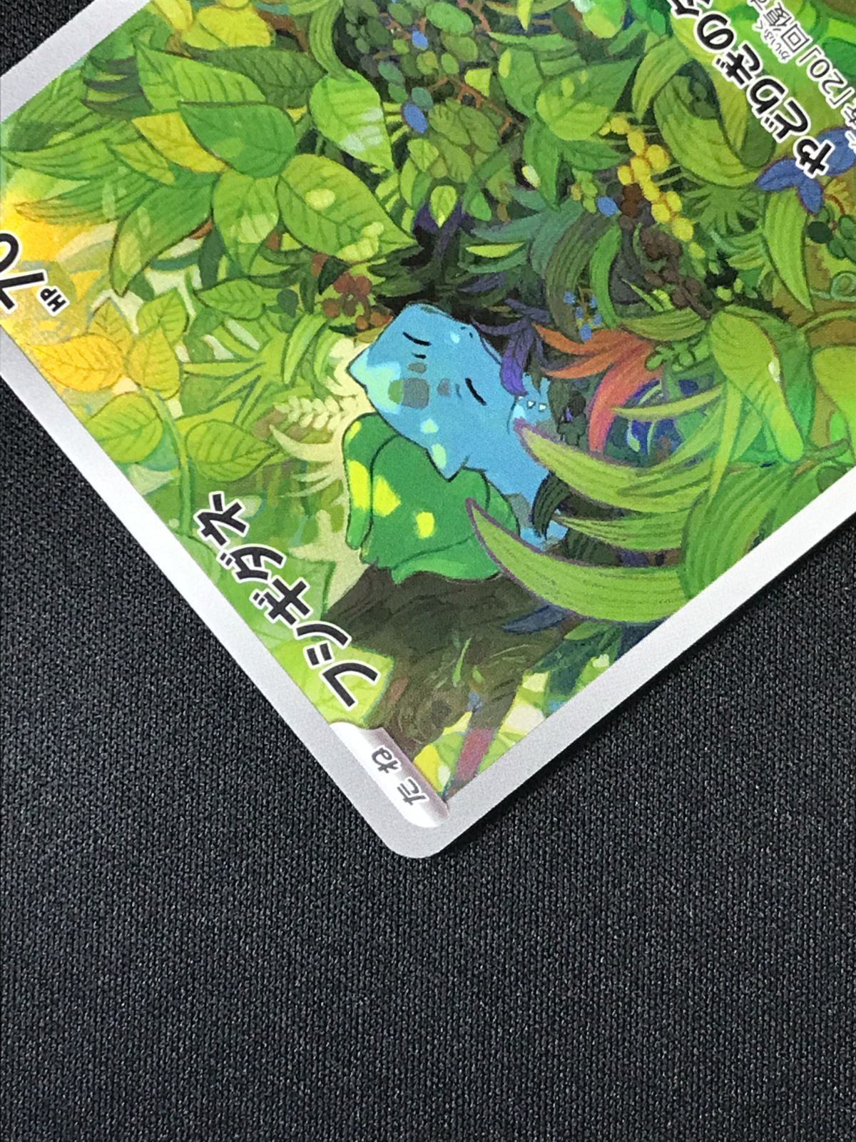 ポケモンカードゲーム ポケカ フシギダネ AR SV2a-166 SV2a 強化拡張