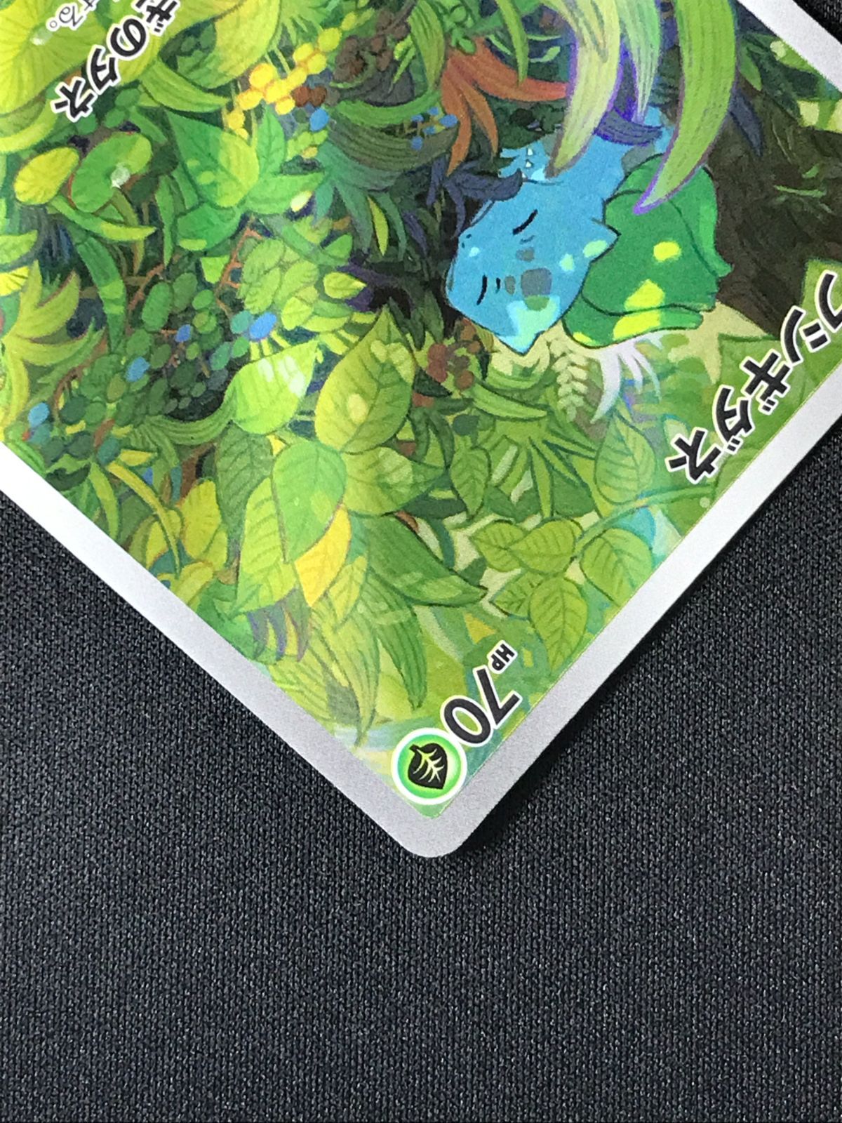 ポケモンカードゲーム ポケカ フシギダネ AR SV2a-166 SV2a 強化拡張