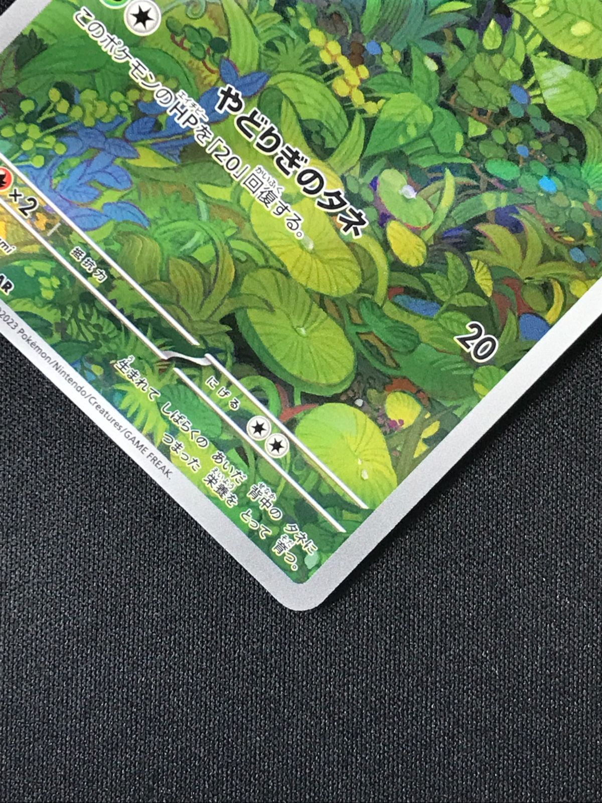 ポケモンカードゲーム ポケカ フシギダネ AR SV2a-166 SV2a 強化拡張