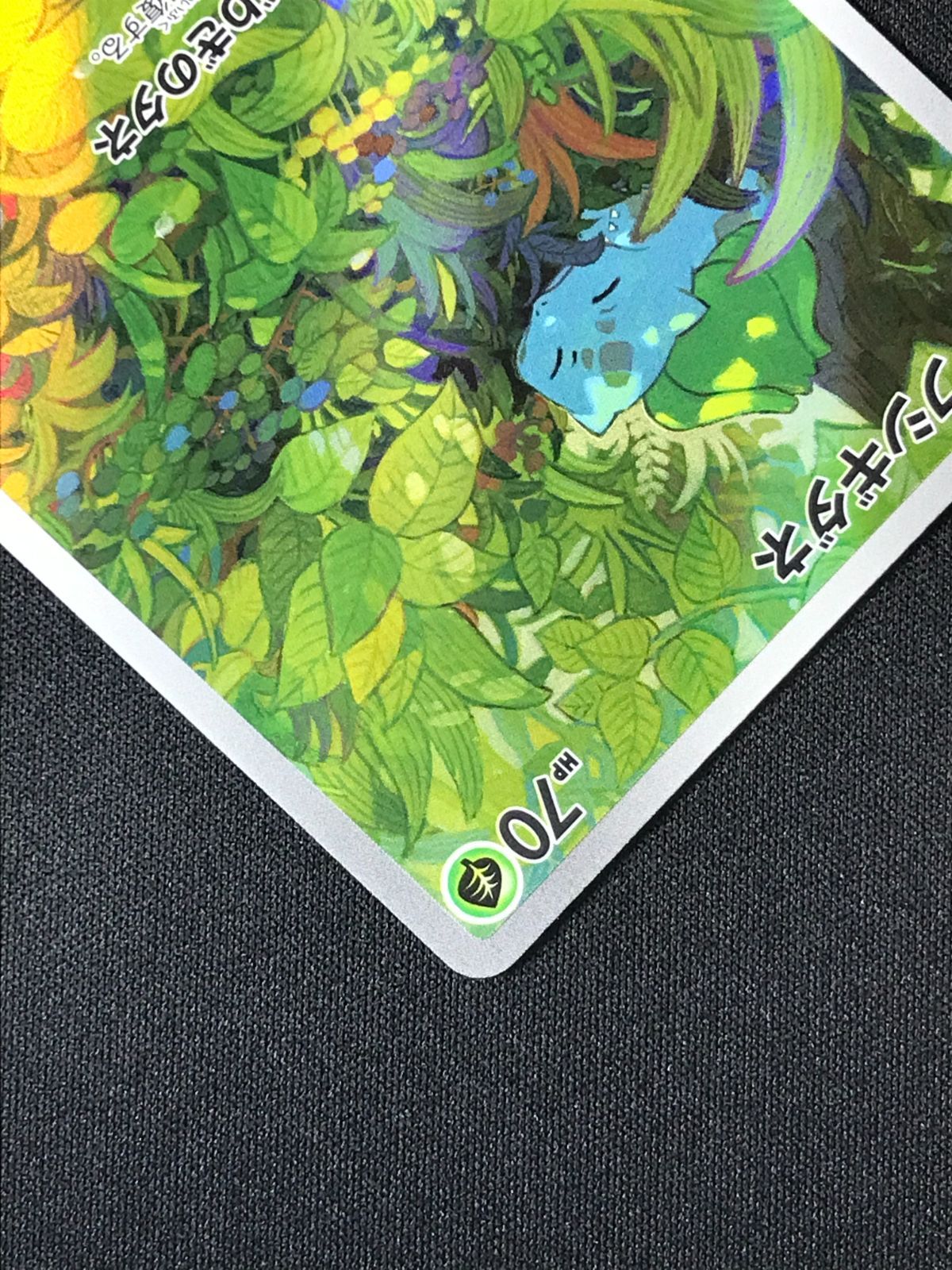 ポケモンカードゲーム ポケカ フシギダネ AR SV2a-166 SV2a 強化拡張