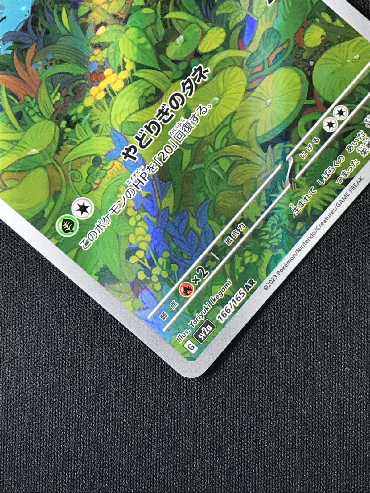 ポケモンカードゲーム ポケカ フシギダネ AR SV2a-166 SV2a 強化拡張