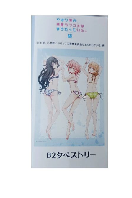 やはり俺の青春ラブコメはまちがっている。 続 プレミアムB2