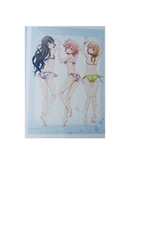やはり俺の青春ラブコメはまちがっている。 続 プレミアムB2
