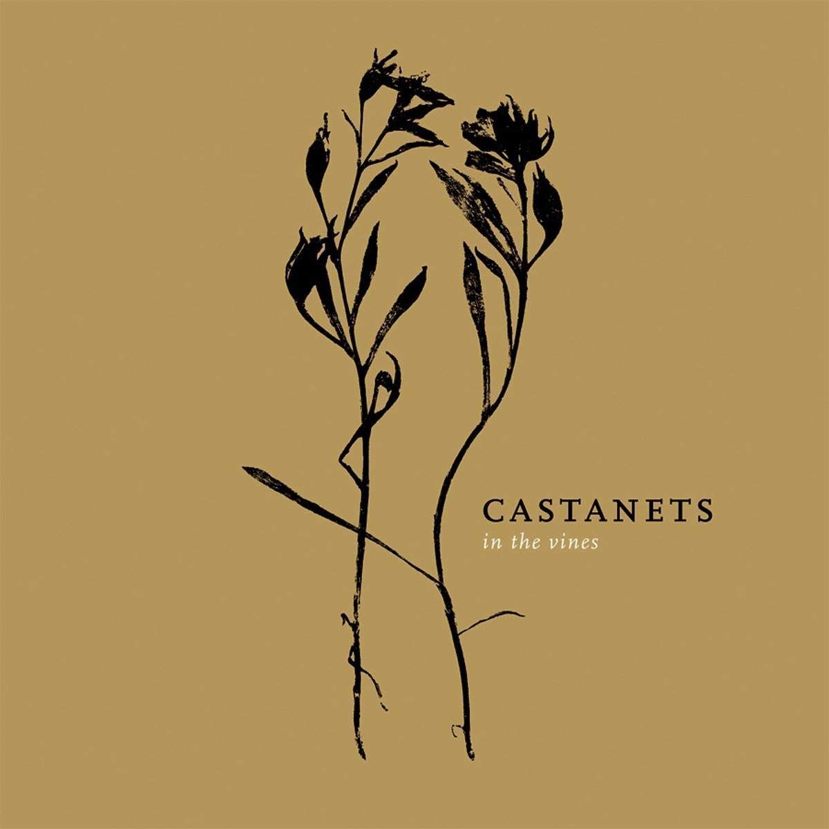 【CD】In the Vines