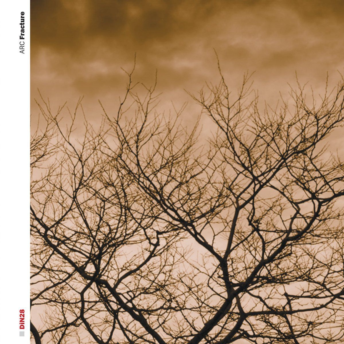【CD】Fracture