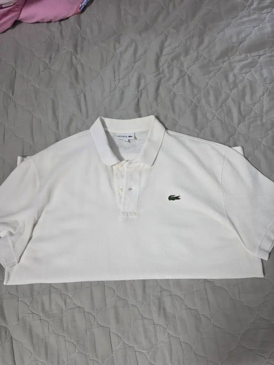 LACOSTE ラコステ フレンチ Regular ベーシック ポロTシャツ カラーTシャツ 5サイズ 白
